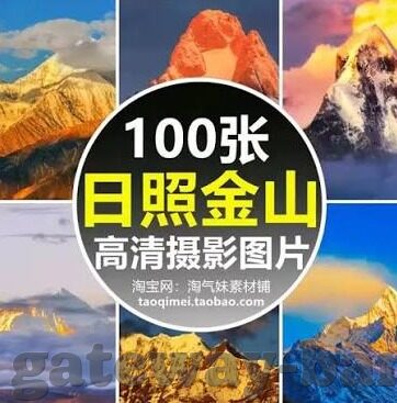德甲足球比分网-德甲风云变幻，这份德甲足球比分网使用指南助你精准捕捉赛场脉搏
