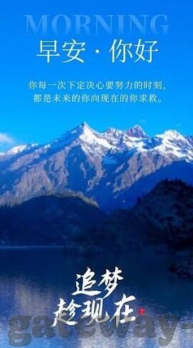 孔帕尼 世界杯-孔帕尼与世界杯，绿茵场上的传奇篇章
